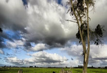 开云APP-姆巴佩终场绝杀引爆全场！VAR争议判罚风暴席卷欧洲杯