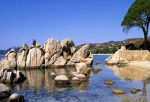 开云体育平台APP-足球赛场中的挑战与胜利