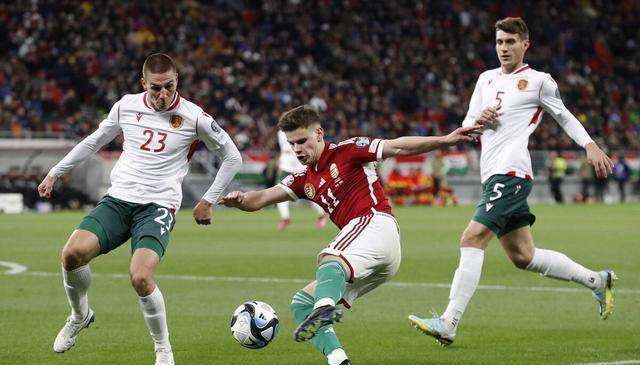 保加利亚主场作战，备战对手卓有成效的简单介绍