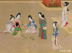 关于文藏柏斗草声躁，欧预赛内省特点的信息