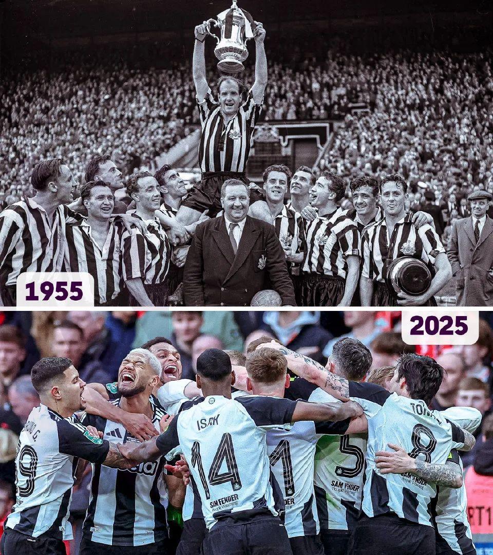 华尔福德主场不敌纽卡斯尔,连续三轮失利的简单介绍 华尔福德主场不敌纽卡斯尔,连续三轮失利的简单介绍